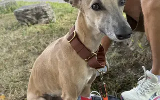 Pre Corku, ktorá už mesiac bojuje o život