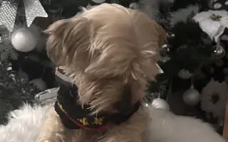 Pomôžme Charliemu získať späť kúsok života Pomôžme Charliemu získať späť kúsok života