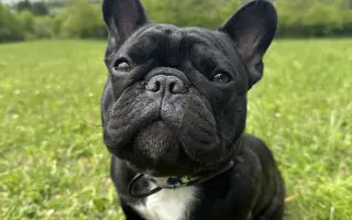 Pomôžme Teovi získať šancu na život bez bolesti