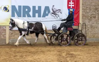 Pomôž nám vybudovať centrum pre kone