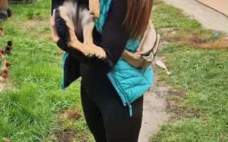 Pes nie je darček. Pomôžte nám zmeniť myslenie v marginalizovaných komunitách.