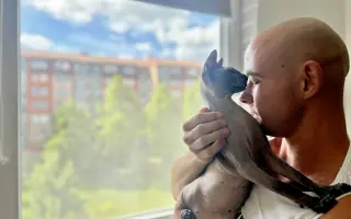 Dobby – kocúrik, ktorý potrebuje CT a operáciu, aby konečne žil plnohodnotne