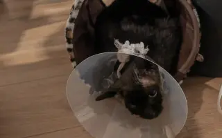 Laruška bojuje o život – pomôžme jej zvíťaziť nad bolesťou