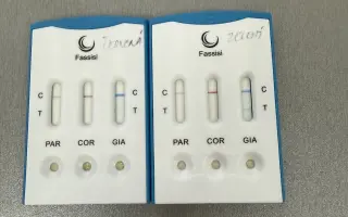 Darujte ďalší domček pre choré a nechcené zvieratá z osady