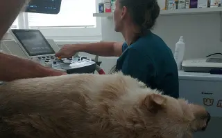 Pomôžme Lusynke znovu voľne dýchať