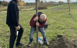 SadímeStromy: Posadíme 100 stromov každý rok