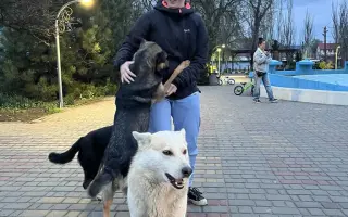 Pomôžte nám s kastráciou psíkov z osád
