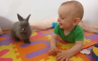 Pomohli ste Alexíkovi získať šancu na lepší život
