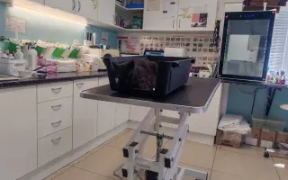 Pomôžme Mačičkám u Larky zvládnuť náročné obdobie