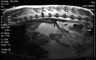 Darujme Benjimu nový život bez bolesti