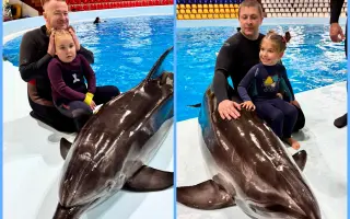 Pomôžte delfinoterapiou našim dievčatám k napredovaniu