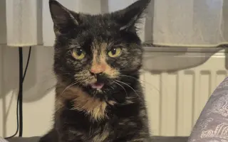 Pomôžte Vande dobehnúť do cieľa