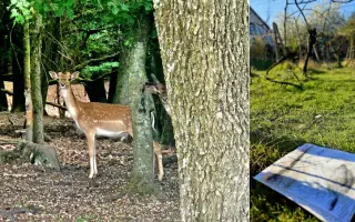 Spoločne otvoríme Arteviu, kde ožije umenie, vinohradnícky dom a človek