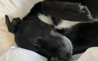 Darujme Benjimu nový život bez bolesti