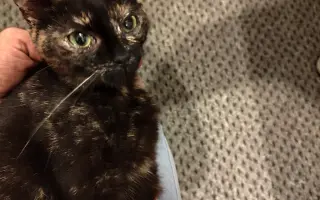 Pomôžme mačičkám prežiť zimu