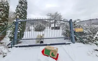 Horský Ranč – domov pre zvieratá, ktoré nikto nechcel