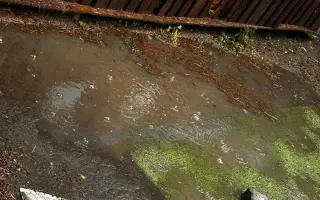 Pomôžte nám dať psom druhú šancu – prerábame Happy Paw’s