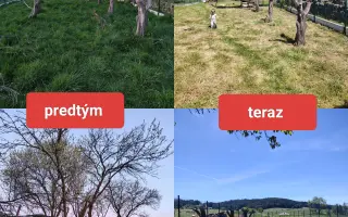 Pomohli ste nám postaviť bezpečnú voliér pre mačky bez domova