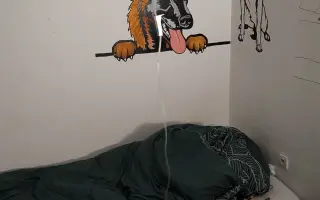 Pomôžme záchranárskemu psíkovi Qvídovi
