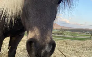 Pomôžte nám vybudováť farmu pre verejnosť