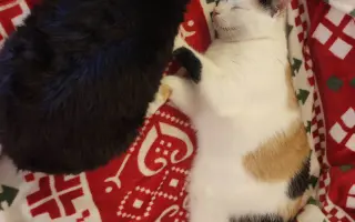 Laruška bojuje o život – pomôžme jej zvíťaziť nad bolesťou