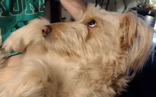 Pomôžme Lakymu pri liečbe rakoviny