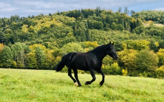 Staň sa víťazom! Podpor vznik knihy, ktorá ti vysvetlí, ako vyhrať svoj život.