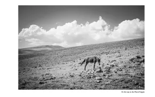 Pomôžte mi priniesť Arménsko do Bratislavy
