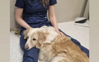 Pomôžte nám dať Dukovi šancu na ďalšie spoločné dni