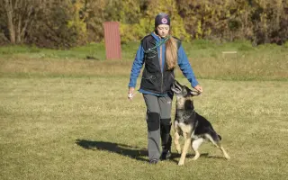 Podporme slovenské záchranárske psy na Majstrovstvách sveta 2026 v Slovinsku!