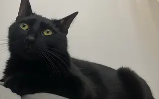 Pomôžme Oggynkovi získať peniaze na liečbu