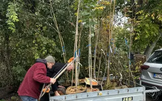 SadímeStromy: Posadíme 100 stromov každý rok