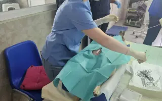 Pomôžte nám s kastráciou psíkov z osád