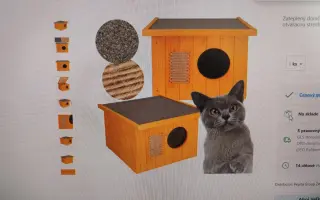 Pomôžme Eve starať sa aj naďalej o mačičky, ktoré ju potrebujú