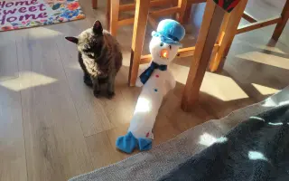 Laruška bojuje o život – pomôžme jej zvíťaziť nad bolesťou