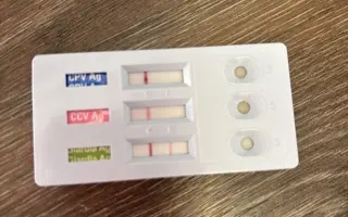 Kúpme a postavme domček pre šteniatka a choré psíky