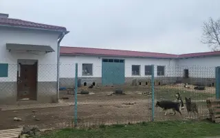 Darujme psíkom v útulku čistú vodu