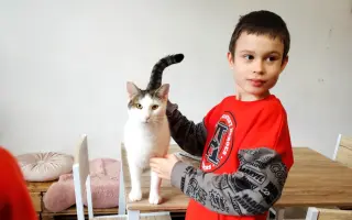 Pomôžme dvojičkám Walinkovi a Sebinkovi s autizmom
