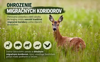 Postavme sa za dolinu. Aj pred súdom.