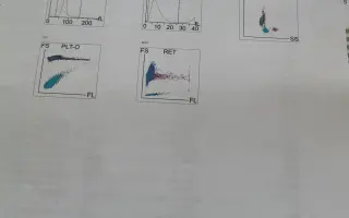 Pomôžme Leuške žiť bez bolesti a svrbenia