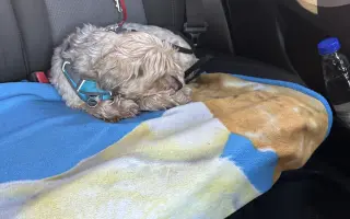 Pomôžme Charliemu získať späť kúsok života Pomôžme Charliemu získať späť kúsok života