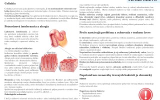 Kniha Ľudová ZDRAVOVEDA. Pomôžeš nielen sebe, ale aj mnohým rodinám