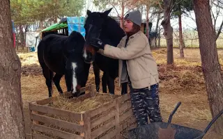 Sedlo pre Nathanka – chlapca so snom jazdiť na svojom koňovi Romeovi