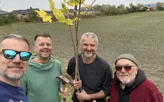 SadímeStromy: Posadíme 100 stromov každý rok