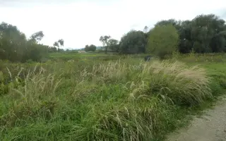 Šalátový sen | podporte ekologickú hydroponickú farmu bez pôdy