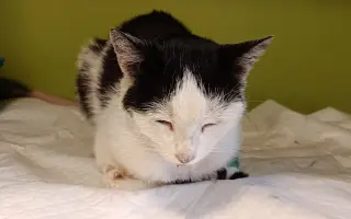 Pomôžme malej Mimi vyhrať boj o život