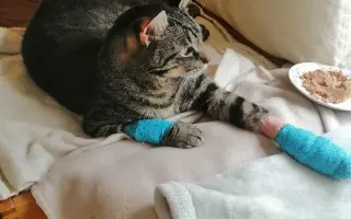 Zachráňme Miniho a dajme šancu aj tým, čo prídu po ňom Zachráňme Miniho a dajme šancu aj tým, čo prídu po ňom