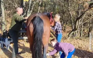 Pomôžme Lenke splniť jej konský sen