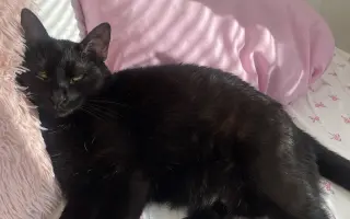 Pomôžme Oggynkovi získať peniaze na liečbu