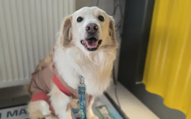 Pomôžte nám dať Dukovi šancu na ďalšie spoločné dni